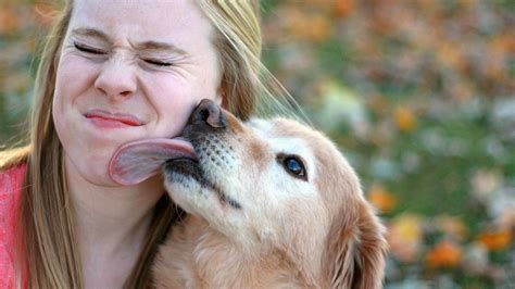 xviddeo|'local women wanting their pussy licked' Search .